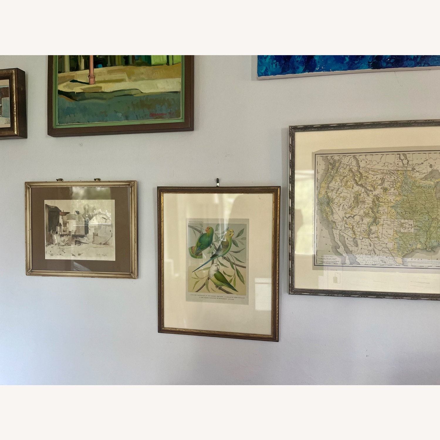 Framed Pair of Parakeet Pictures - image-10