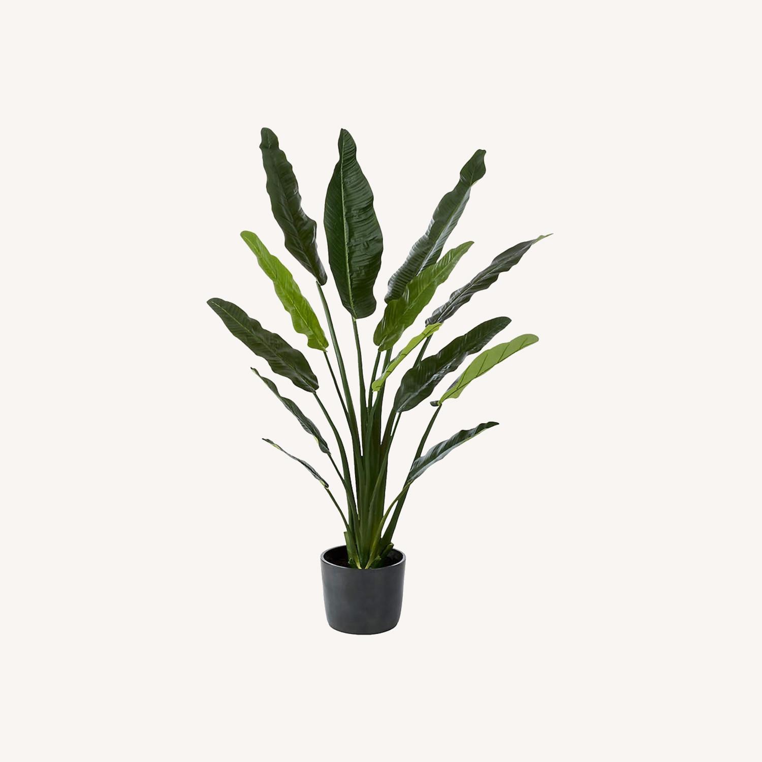 CB2 Potted Faux Bird of Paradise 6' - image-0