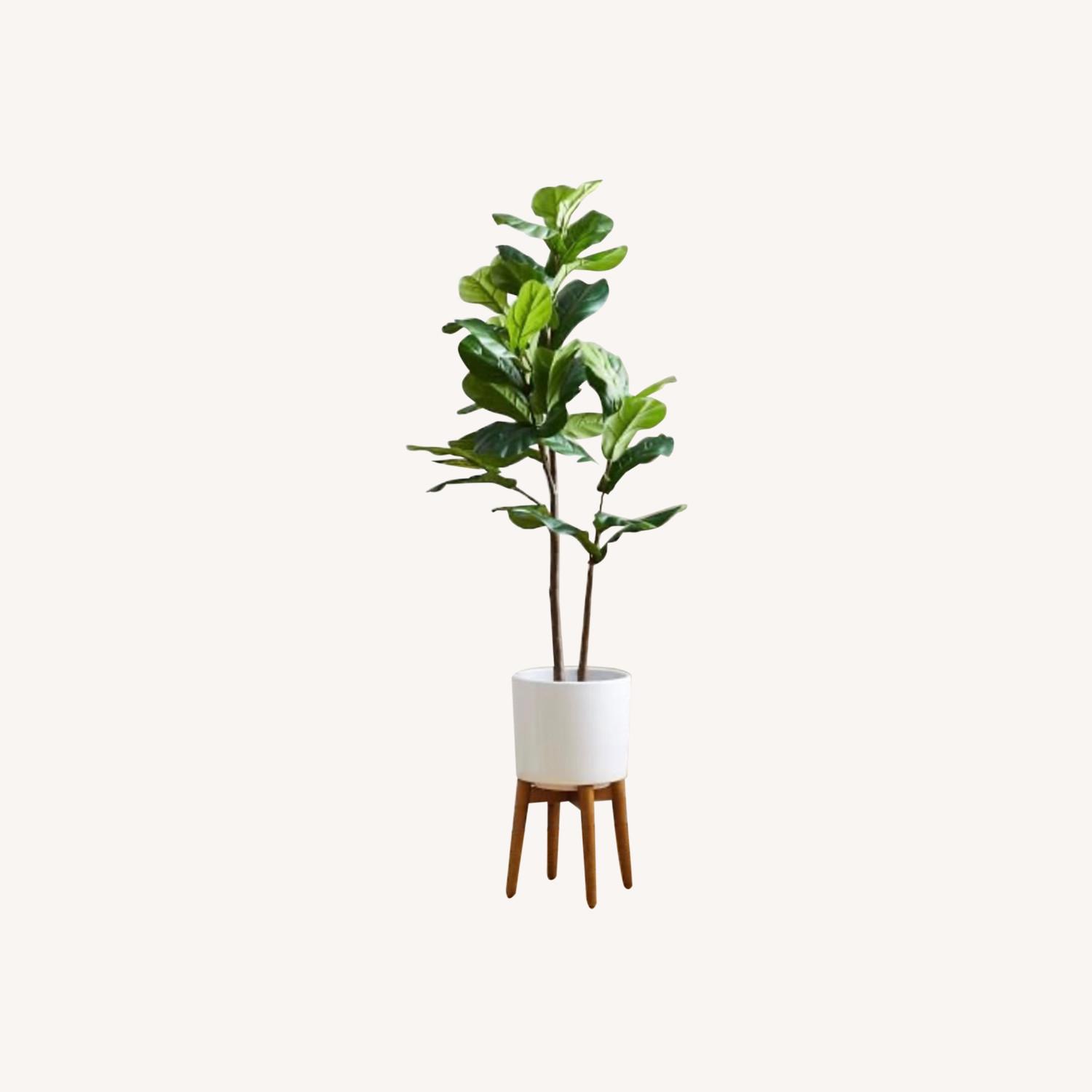 West Elm Faux Leaf Fig Tree+ Wood Leg Planter - AptDeco