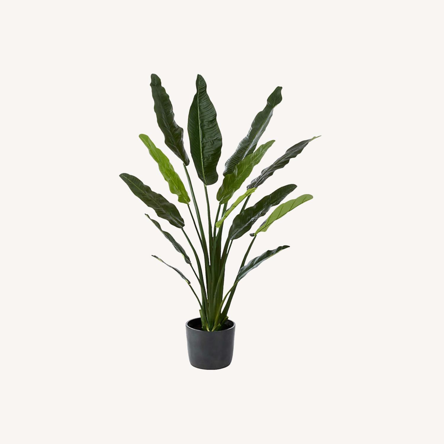 CB2 Potted Faux Bird of Paradise - image-0