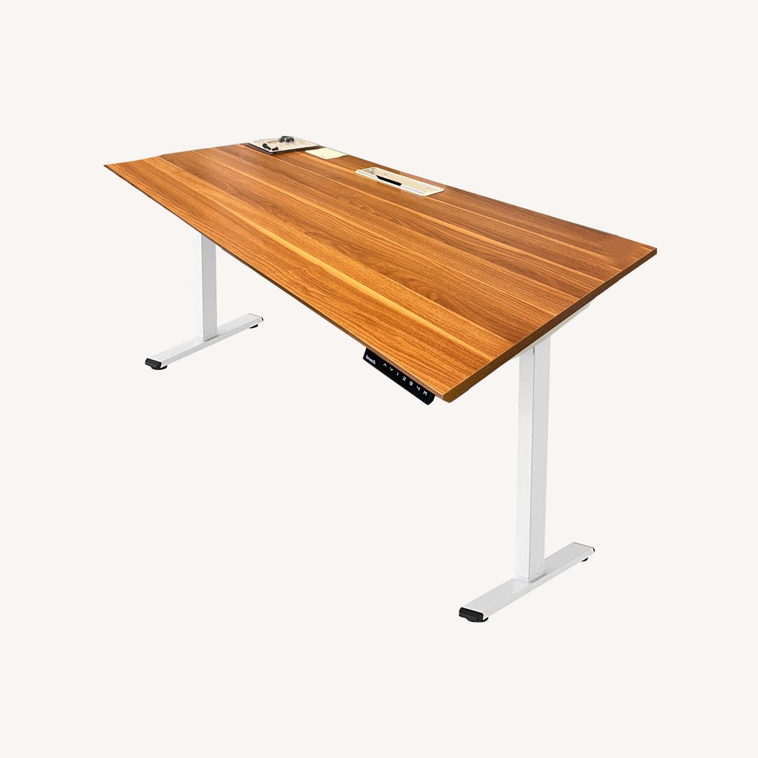 Executive Branch Standing Desks With Power Strip AptDeco