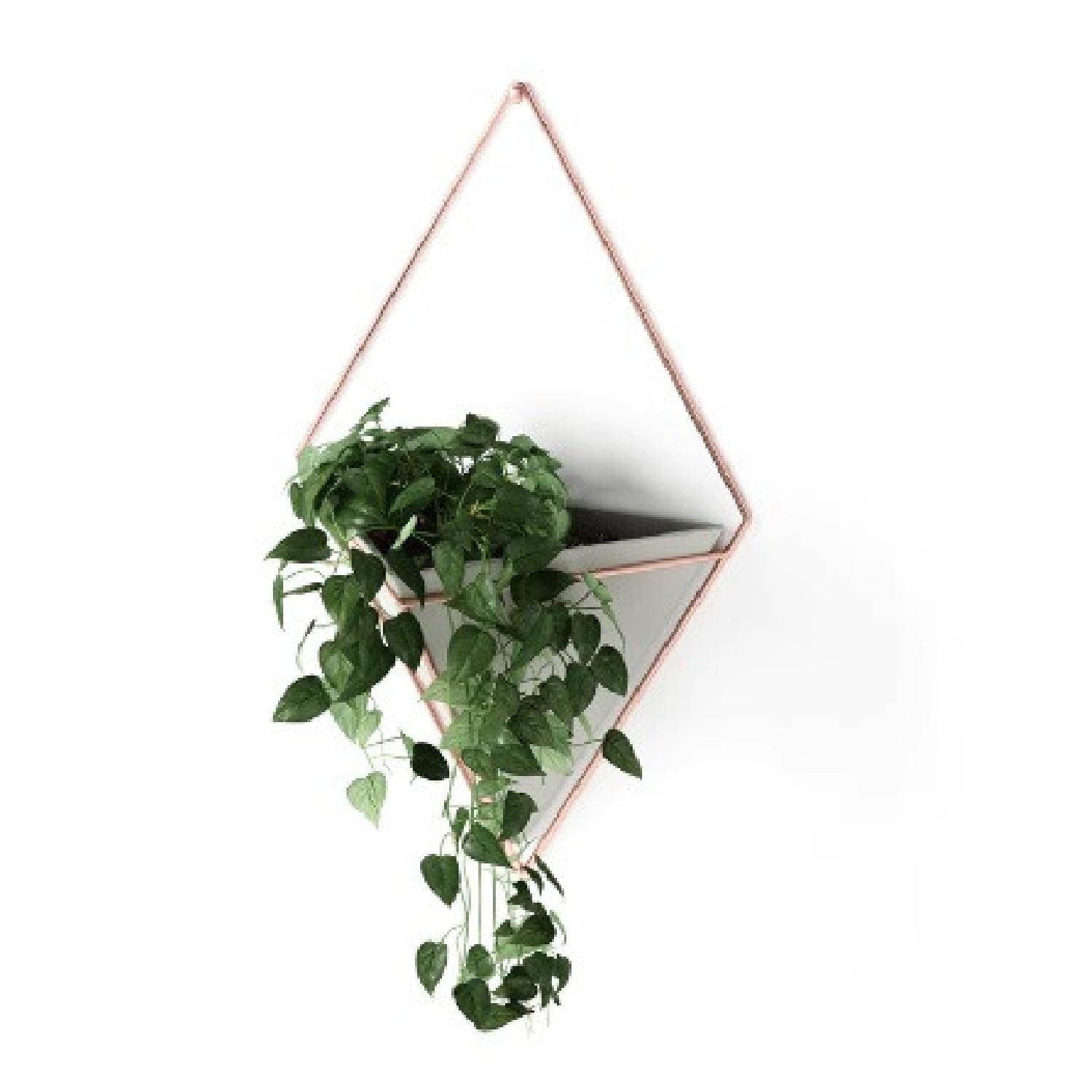 Umbra Triange Hanging Planters Wall Display - image-5