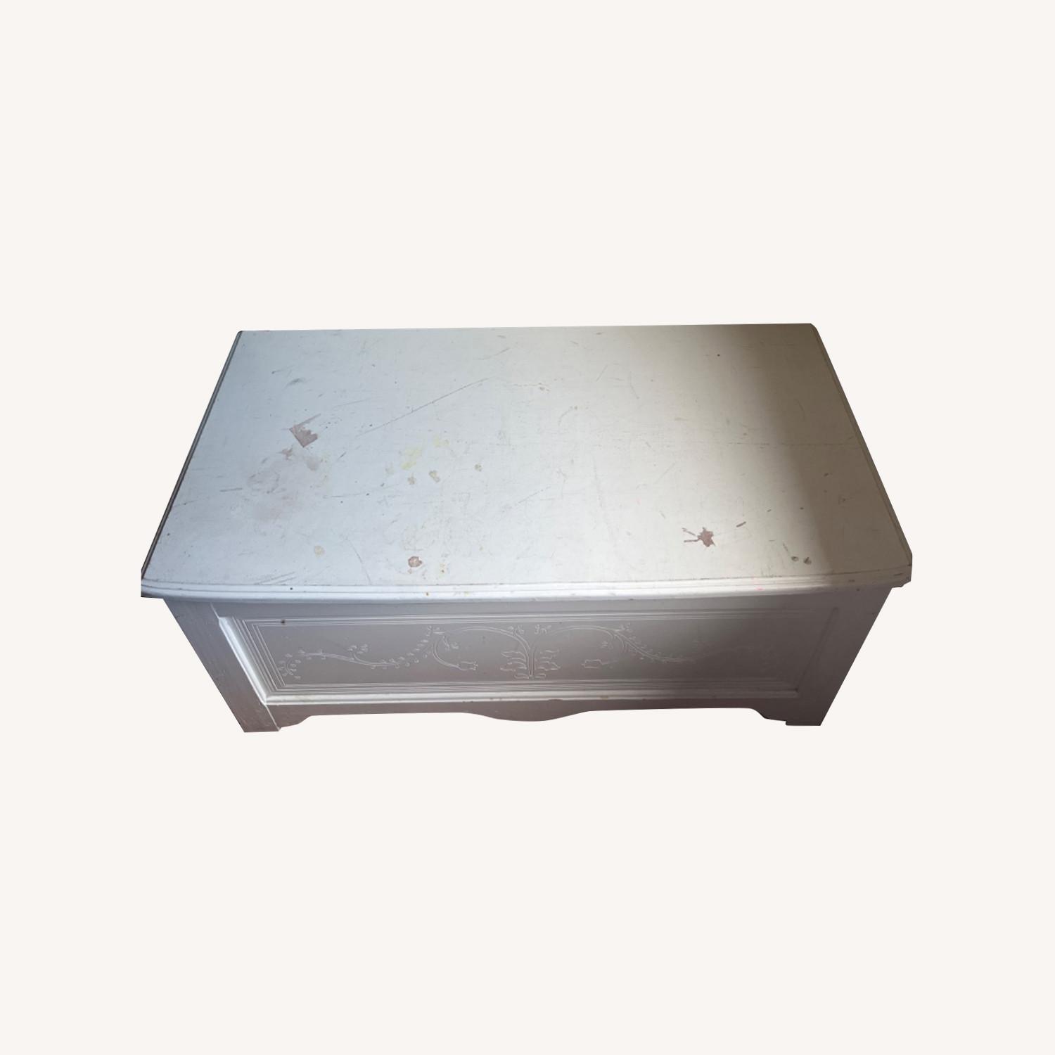 Treasure Chest for Storage - image-0