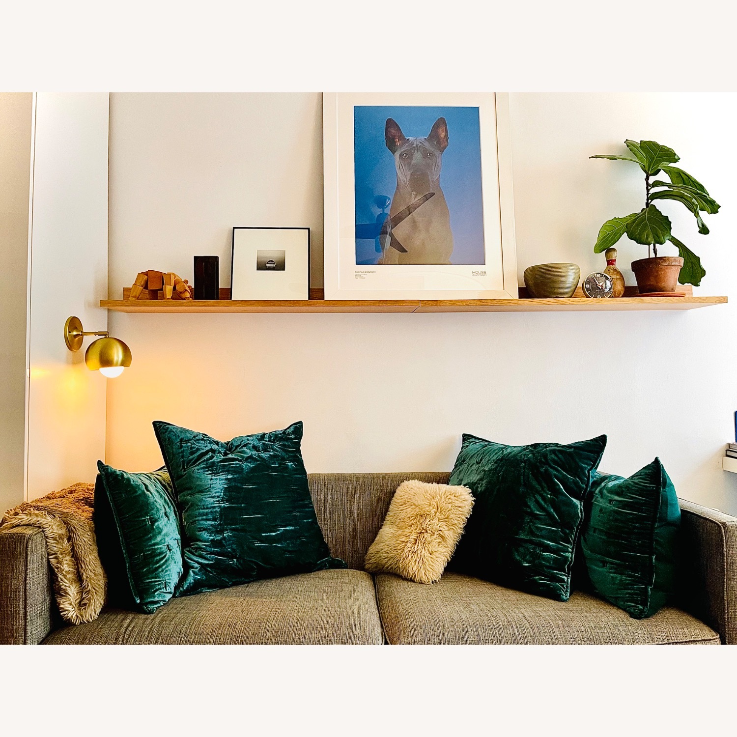 Room & Board Watson 78" Queen Sleeper - image-2