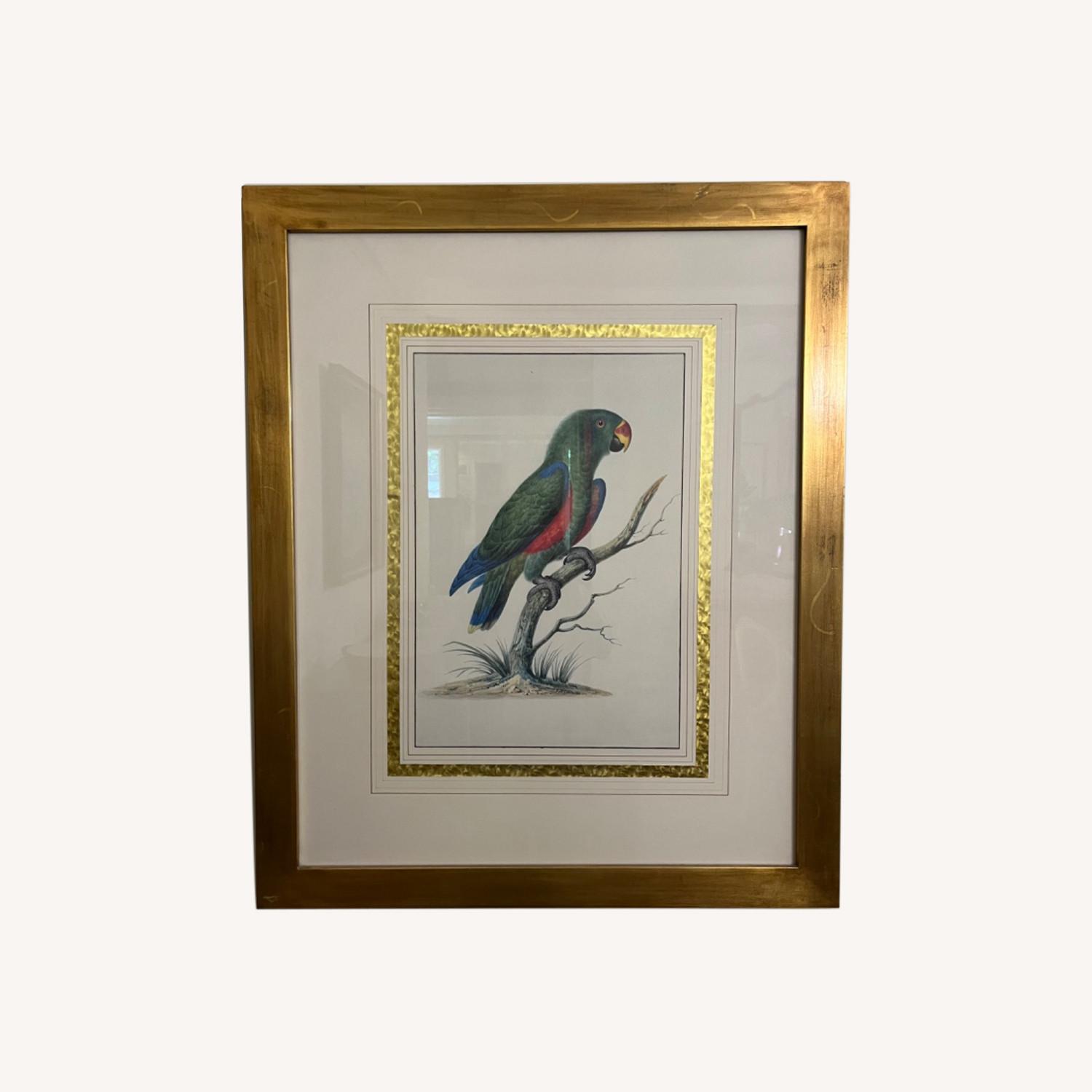 Pair of Parrot Prints with Gold Frames AptDeco