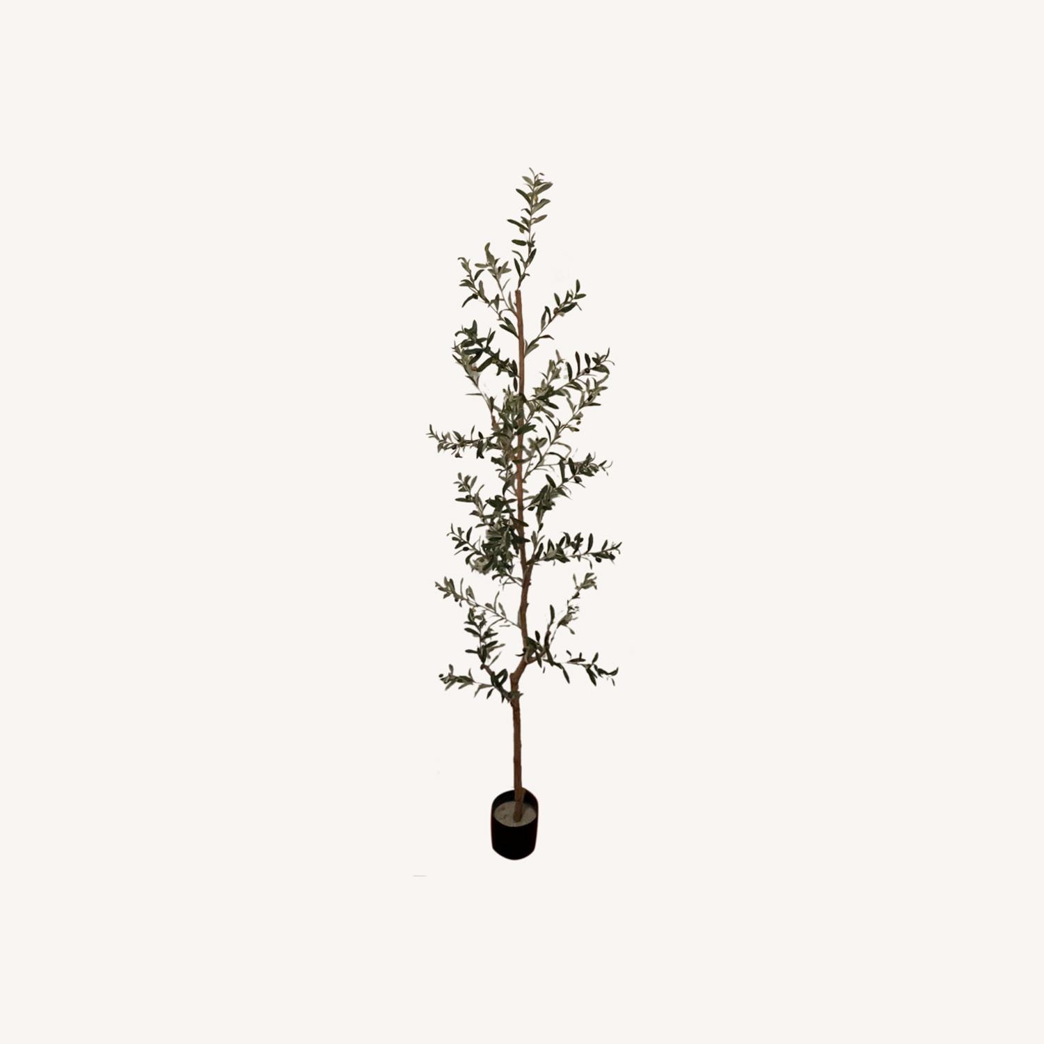 Pottery Barn Faux Olive Tree - image-0