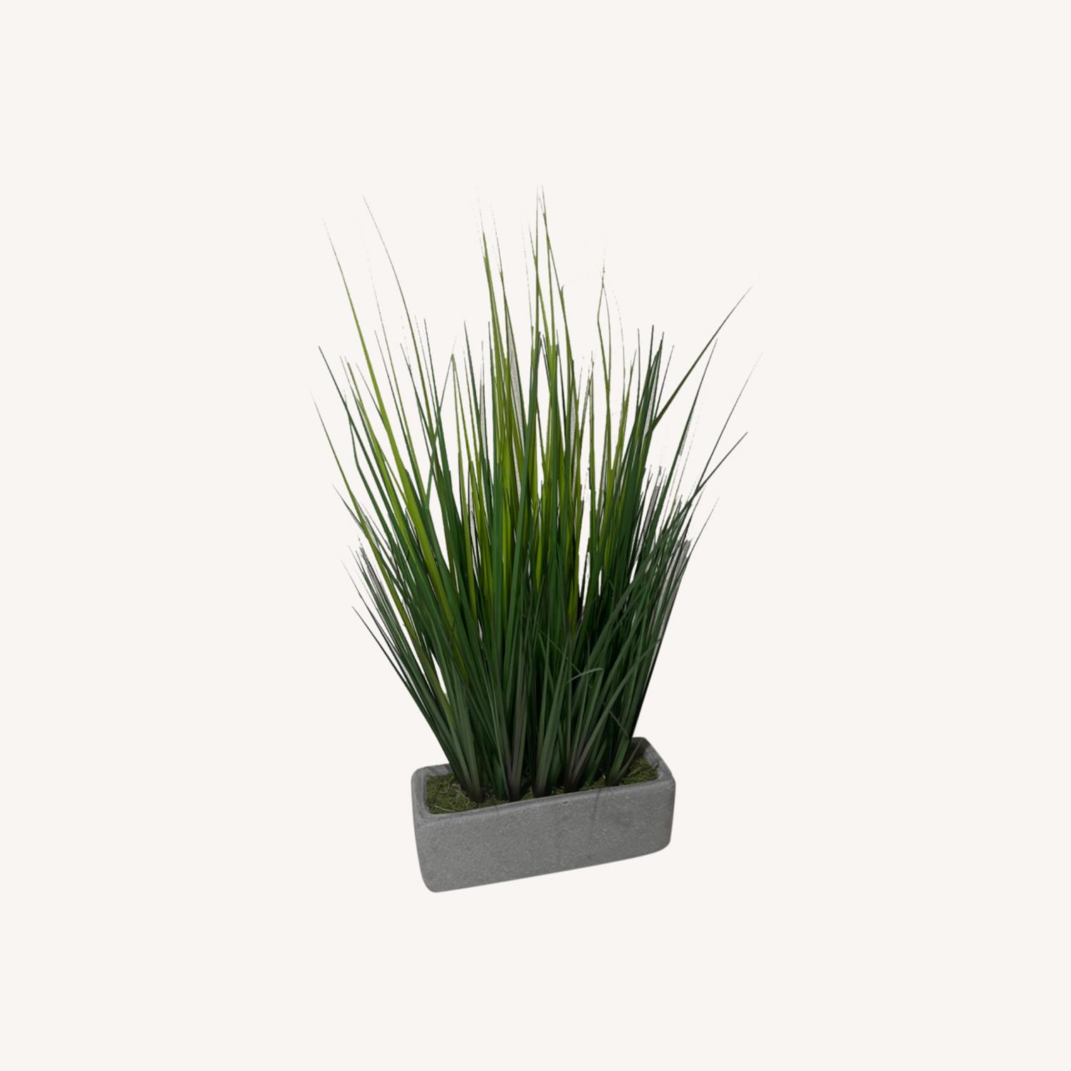 Faux Plant - image-0