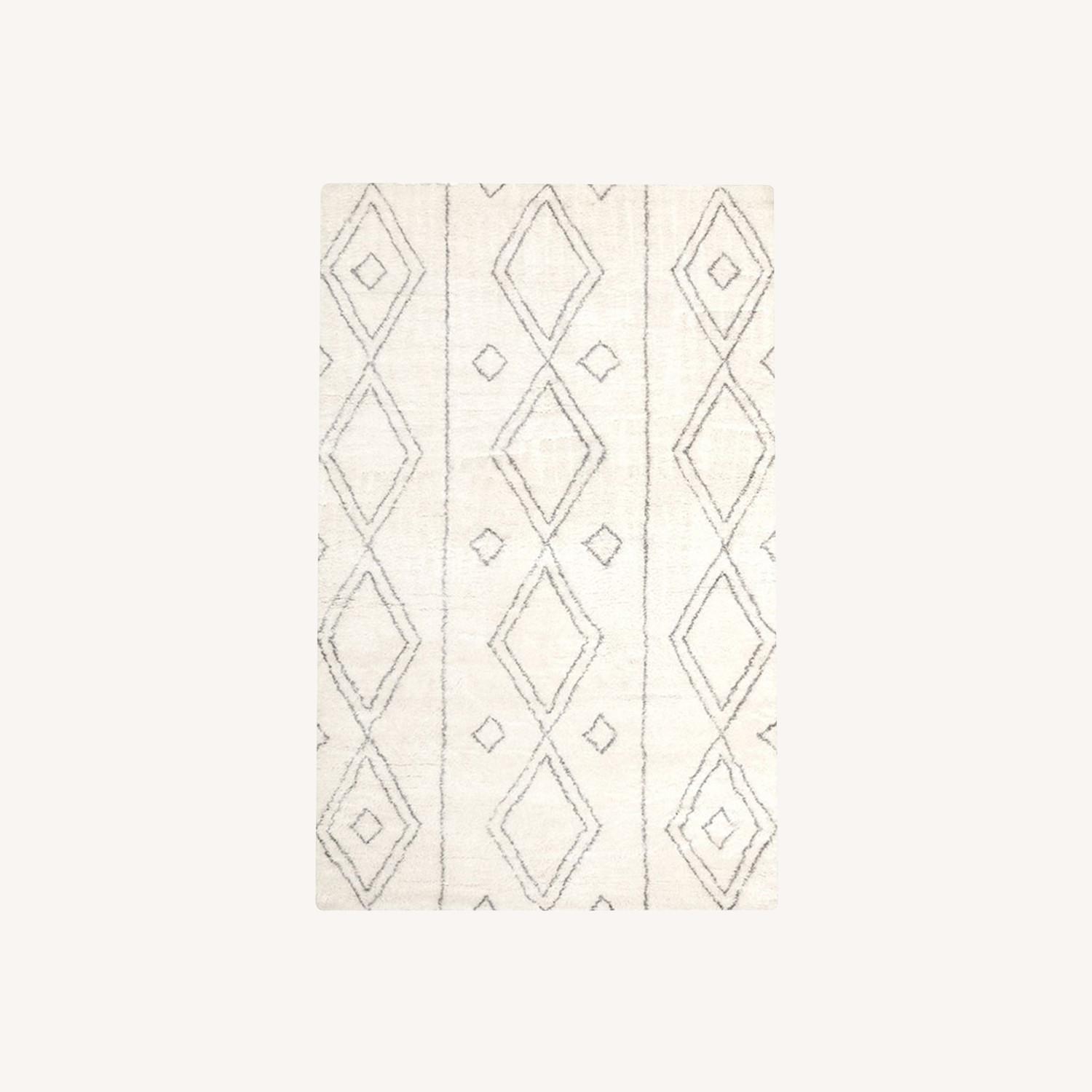 Pottery Barn Delaney Rug - image-0