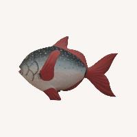 Wooden Fish - Handpainted Whimsical Island Art