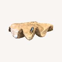 Giant Clam Shell Half