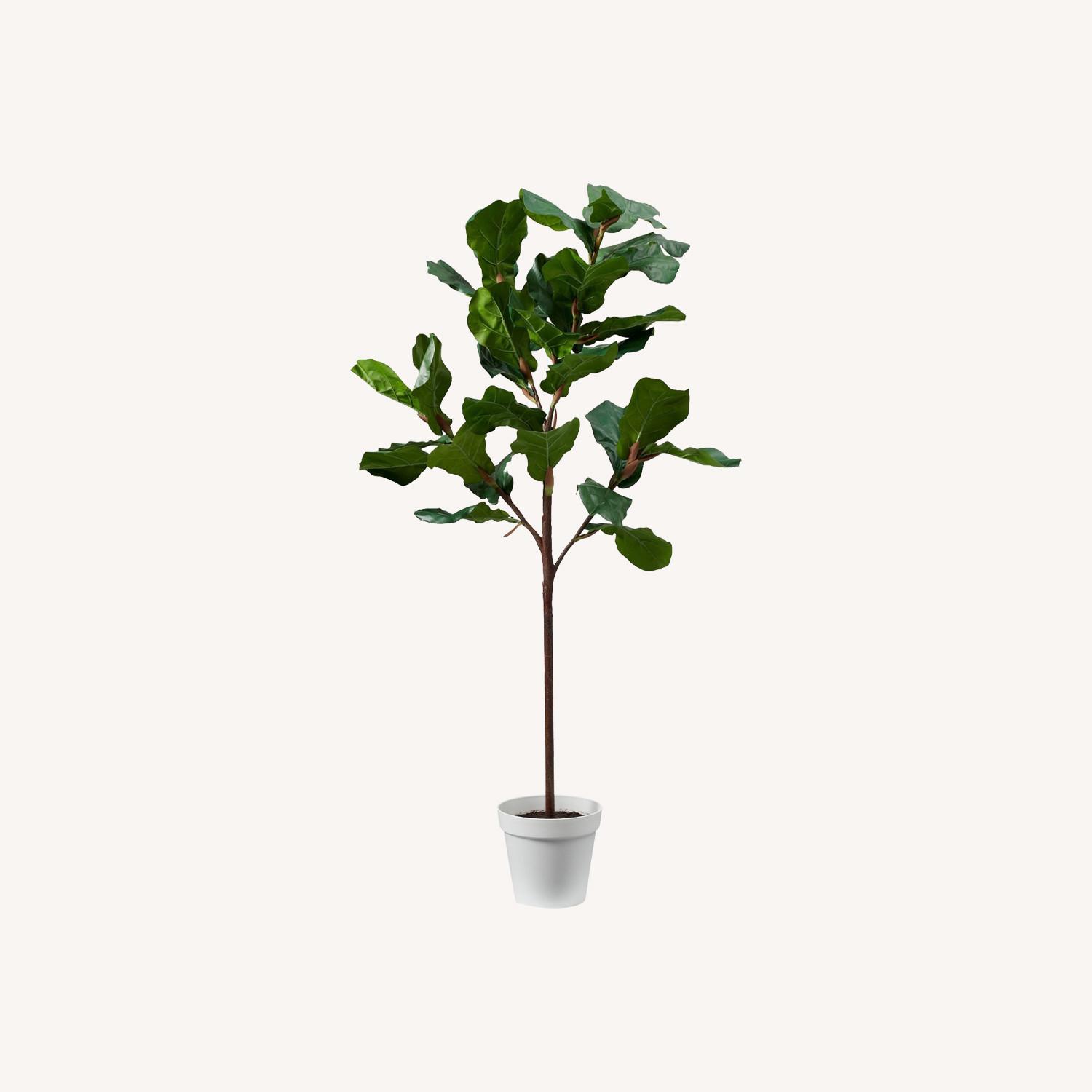 West Elm Faux Potted Fiddle Leaf Fig Trees - image-0
