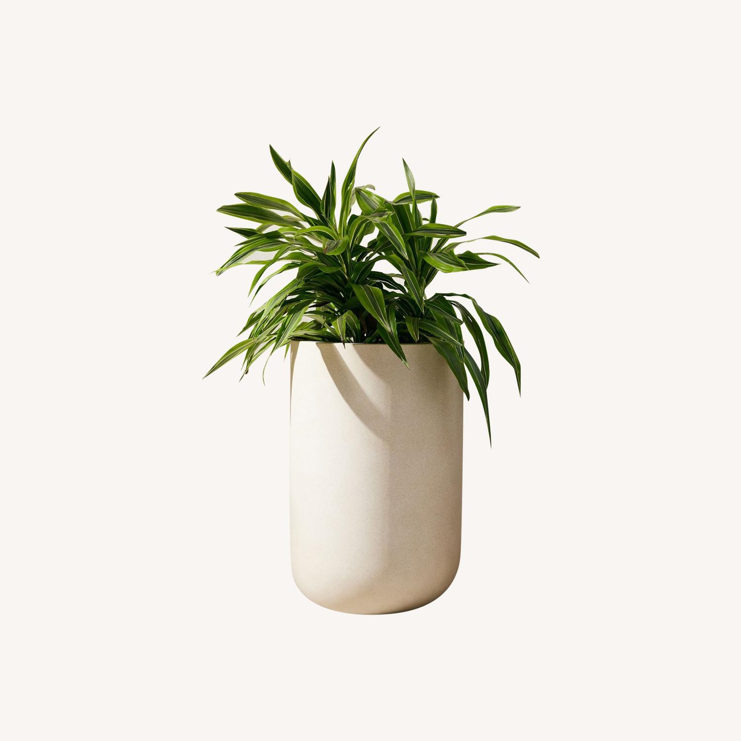 hanging plant hangers indoor ORBIT plant hanger – Result Objects main image 0