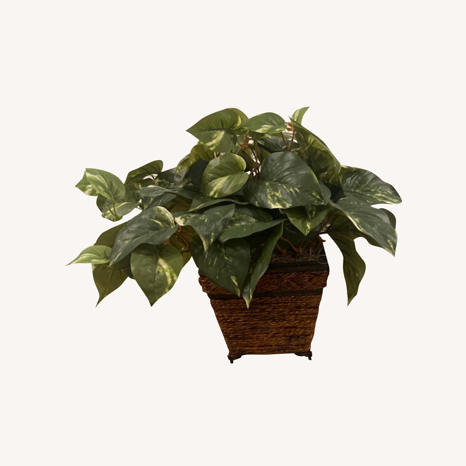 Pothos Artificial Plant in Coiled Rope Planter - image-0