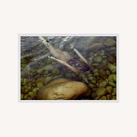 Crystal Pools Single Dip by Ulrich Knoblauch