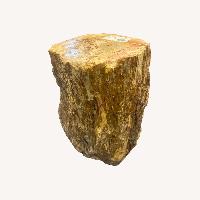 Restoration Hardware Petrified Wood Side Table