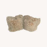 Maison de Vacances Set of Pillows