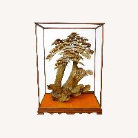 Chinese Cork Carving,Root Carving ,20th c