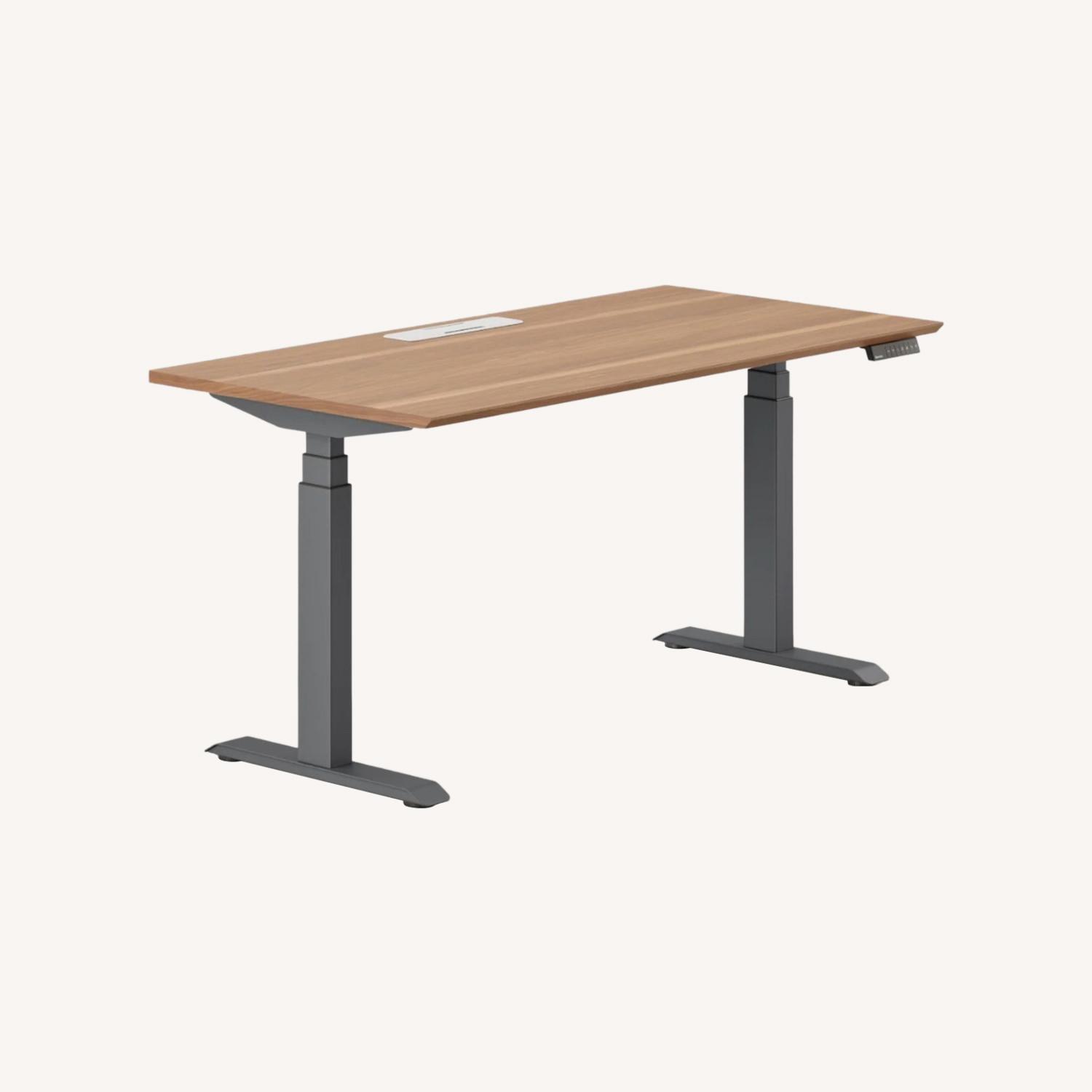Branch Adjustable Motorized Standing Desk - image-0