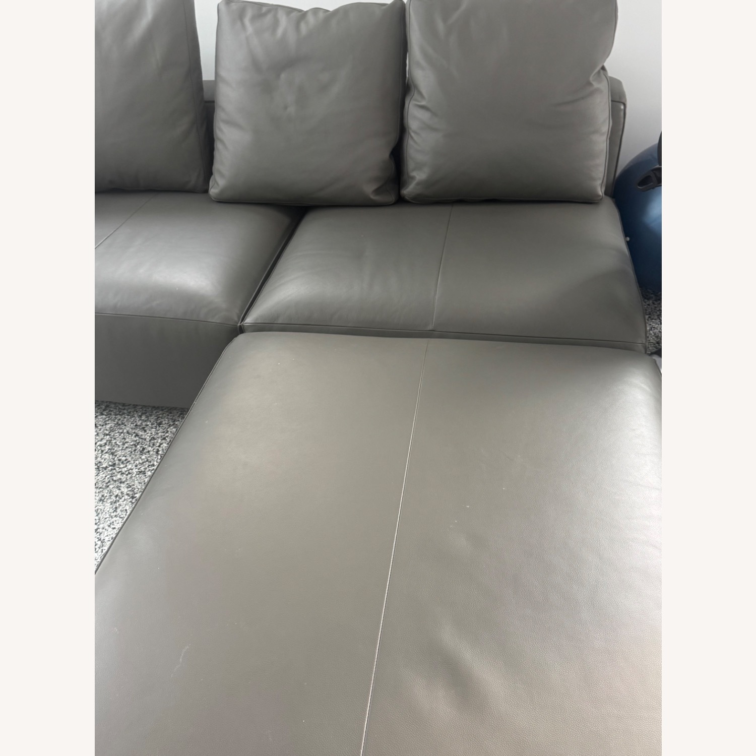 Ligne Roset Nils Sofa - Leather - image-4