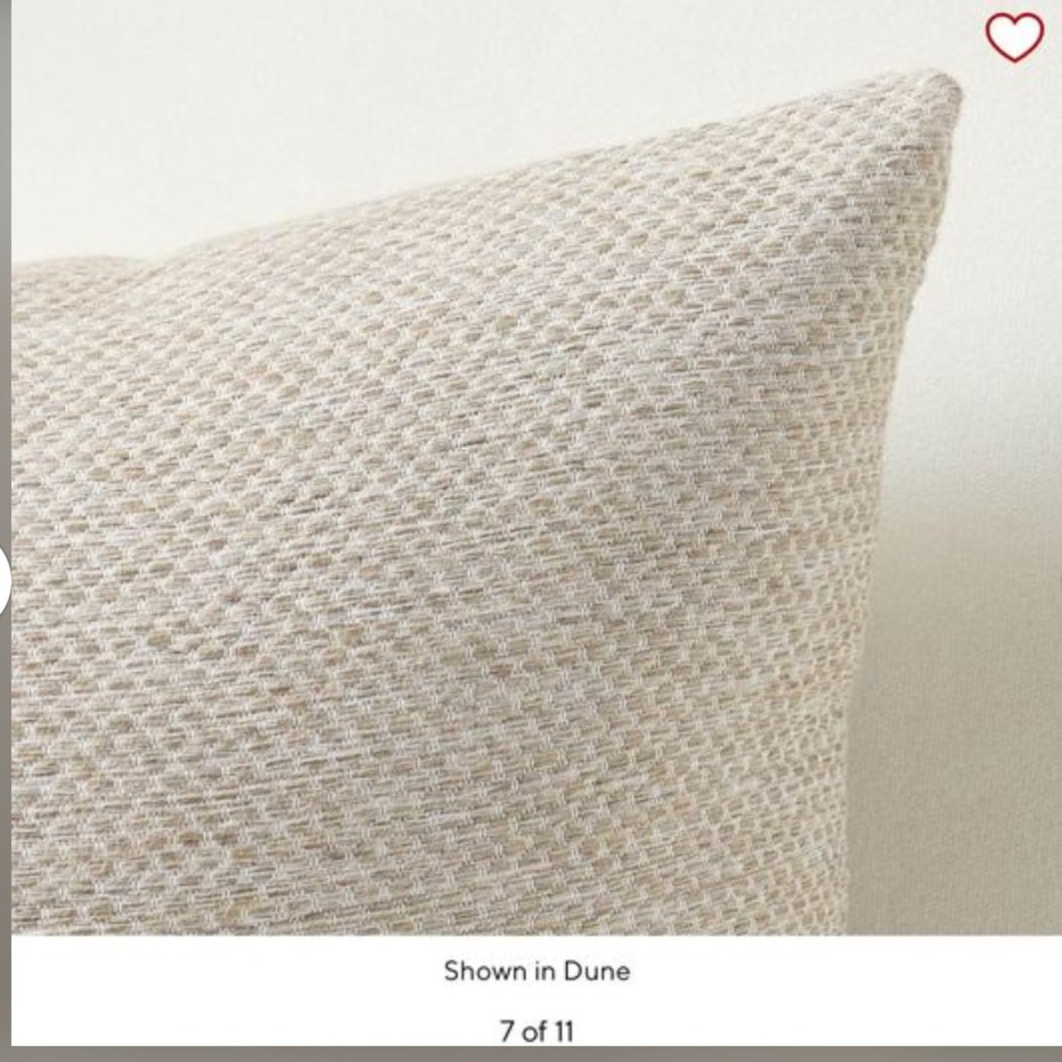 Pottery Barn Sunbrella 16x24 Pillows - image-3