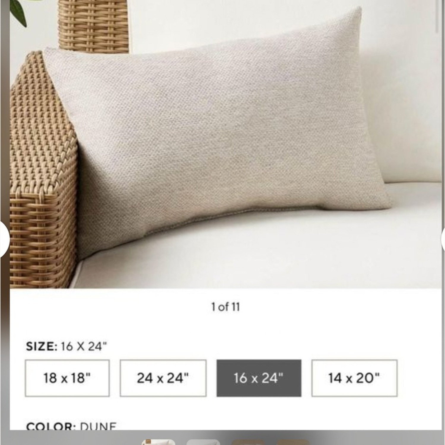 Pottery Barn Sunbrella 16x24 Pillows - image-1