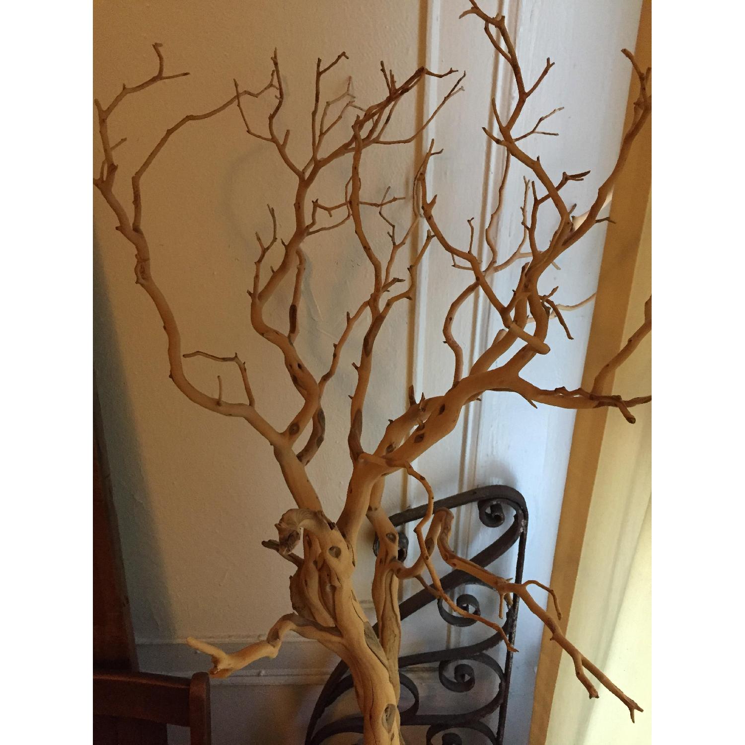 Sand Blasted Decorative Tree - image-4
