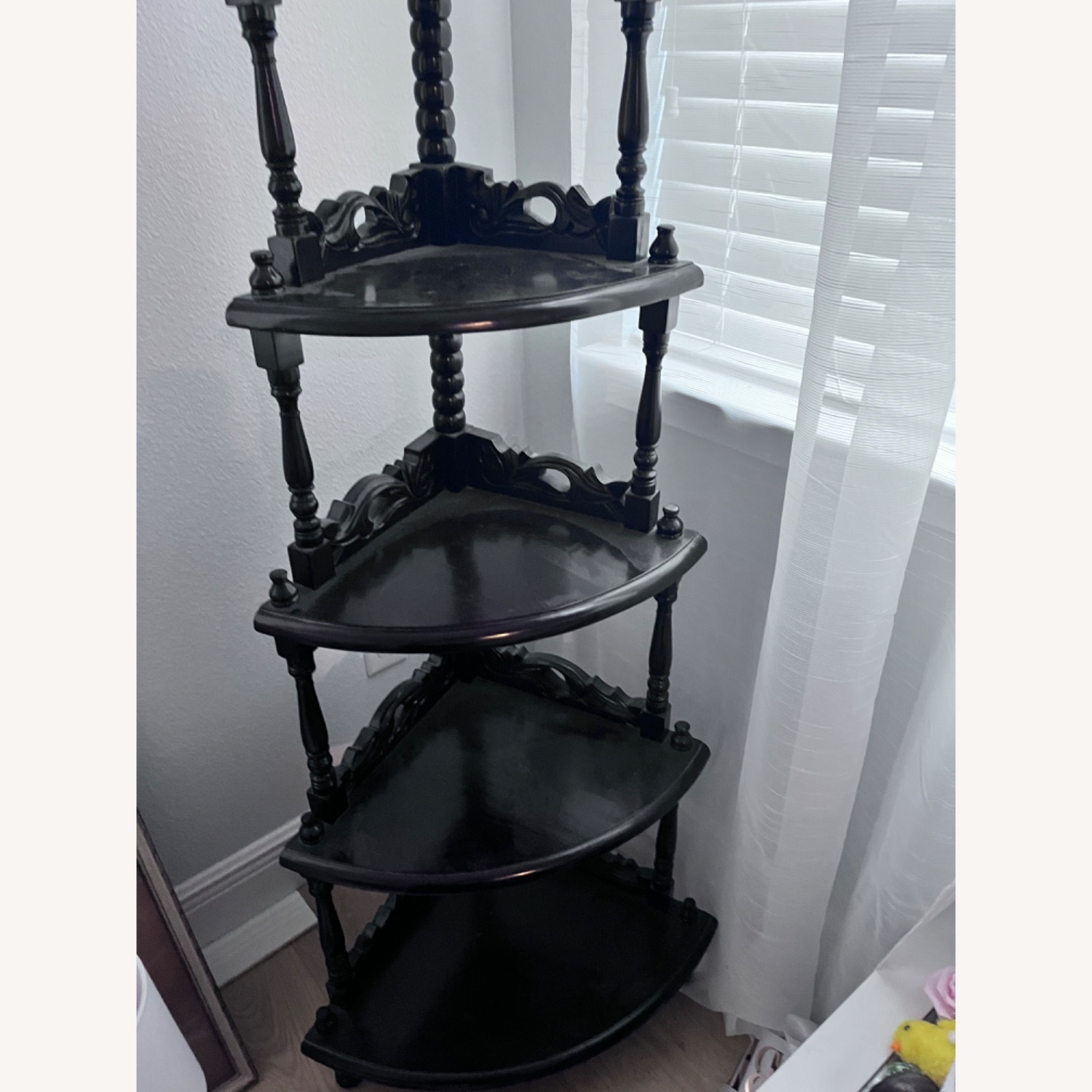 Open Display Case - image-2