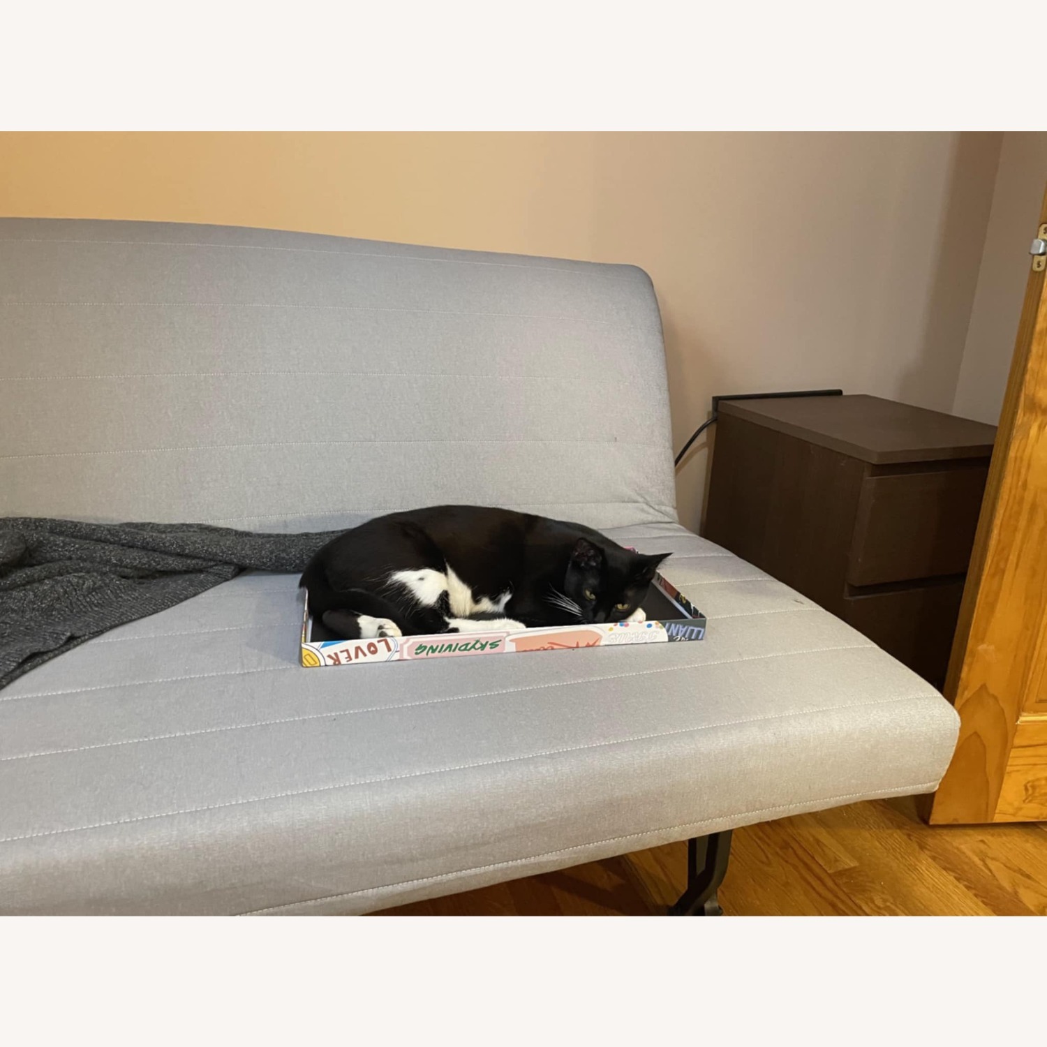 IKEA LYCKSELE LÖVÅS Sofa Bed with Cover - image-3