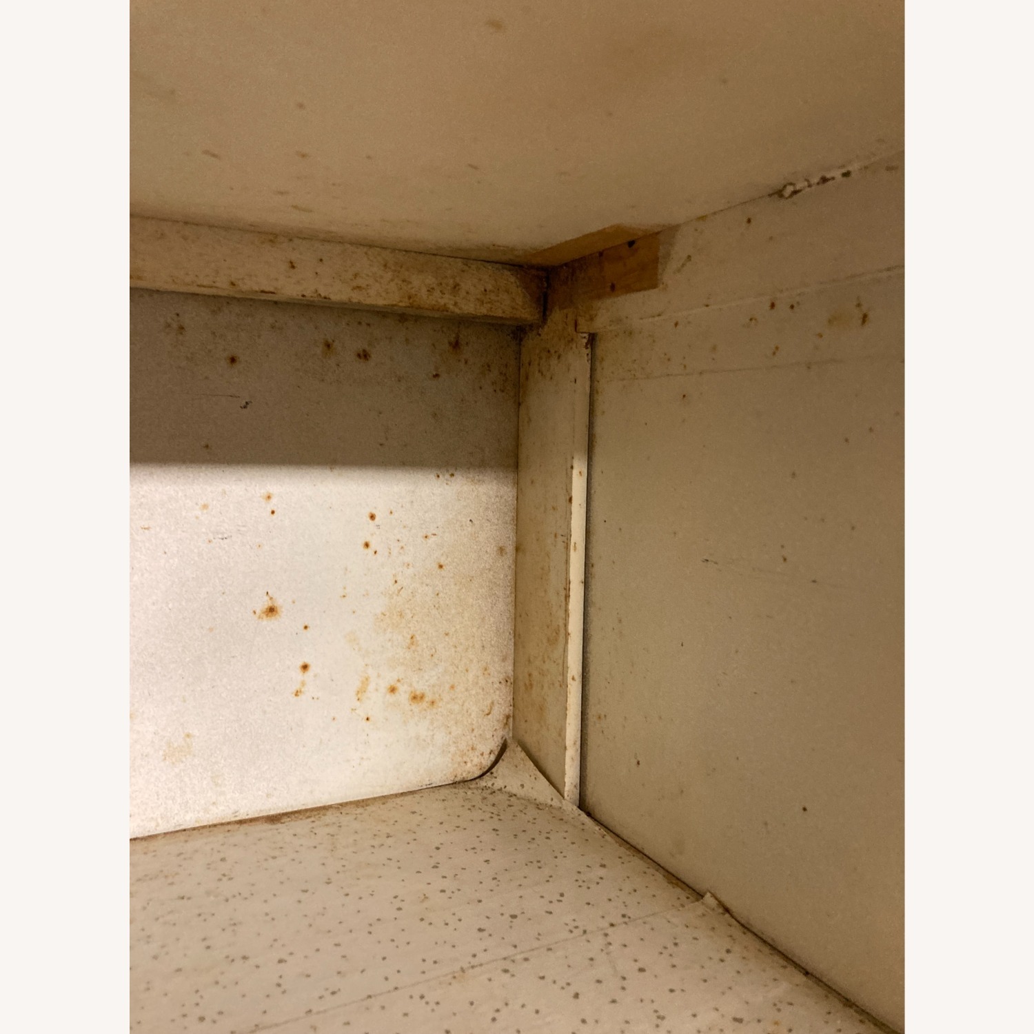 Retro Storage Cabinet with Glass Pane Doors - image-9