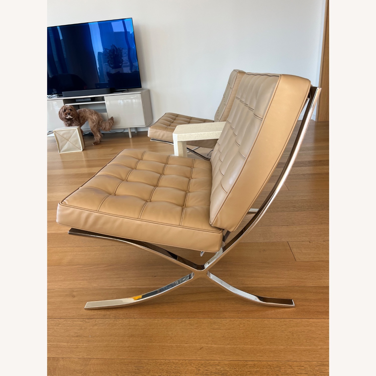 Pair of Exhibition Chairs - image-7