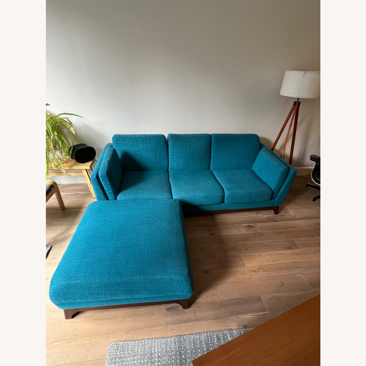 Article Ceni Sofa and Ottoman - image-1