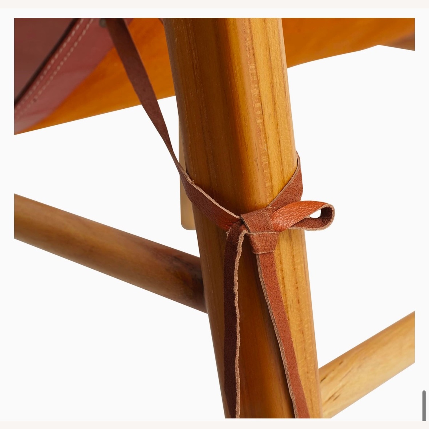 Wisteria Ruli Low-Sitting Leather Side Chair - image-4