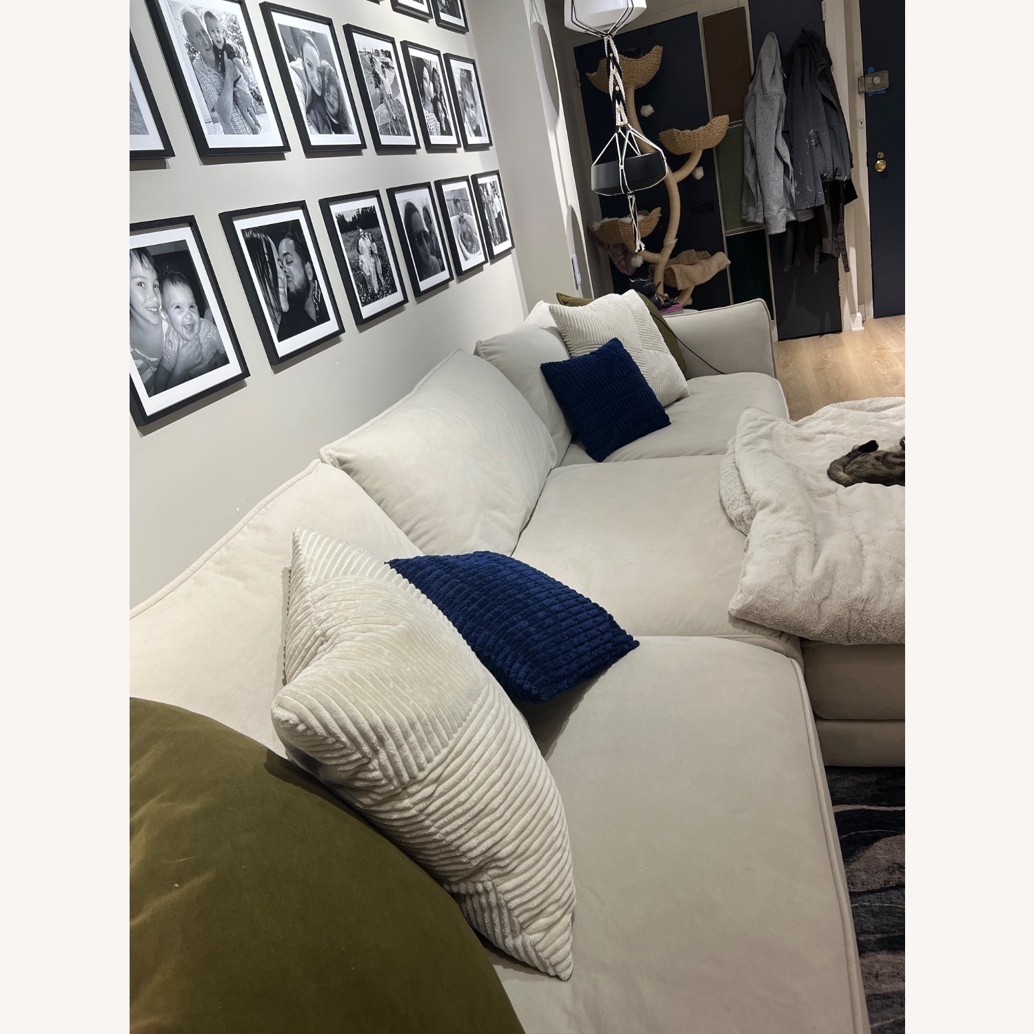 Microfiber Modular Sofa - Cream - image-6