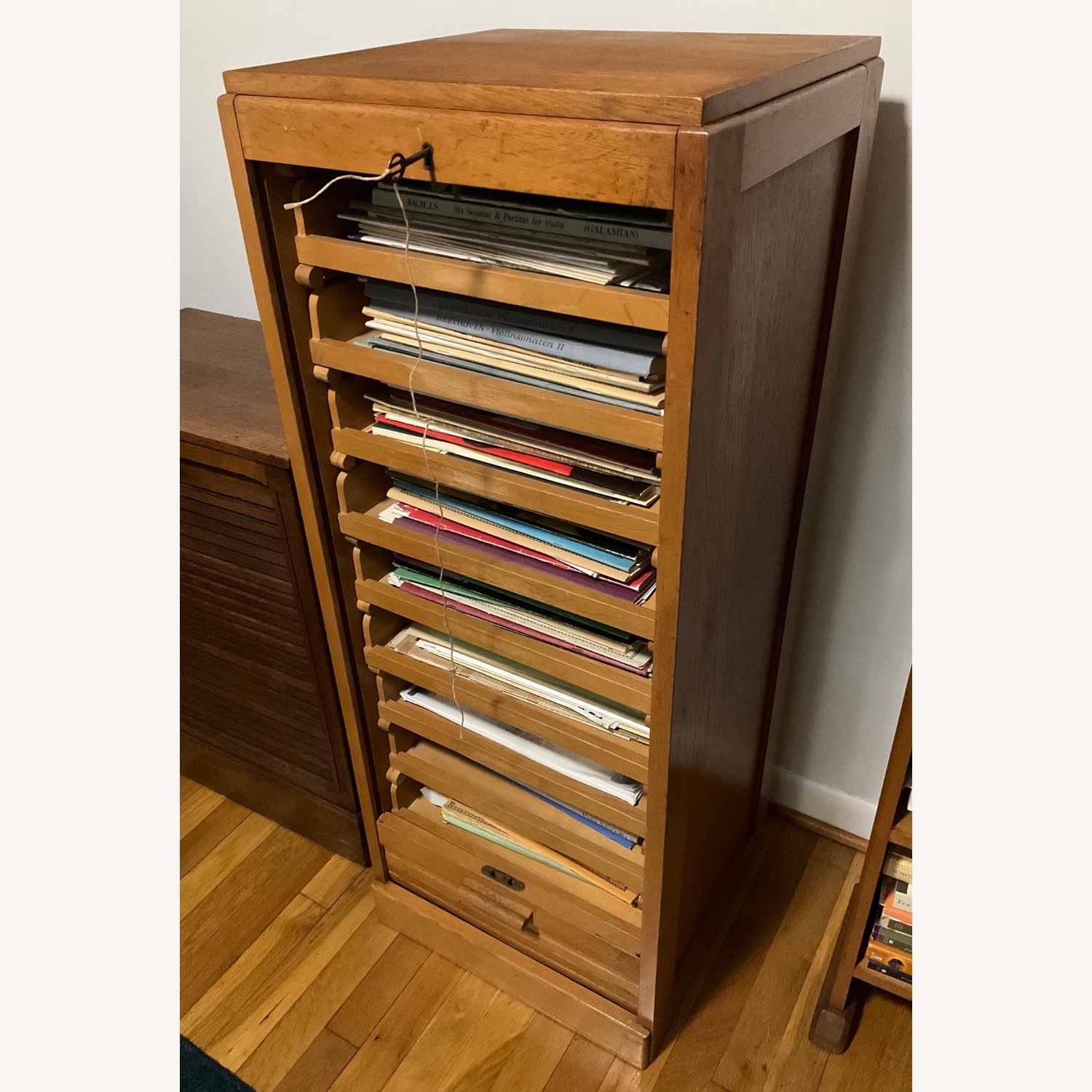 1920s Dutch Roller Door Cabinet - image-7