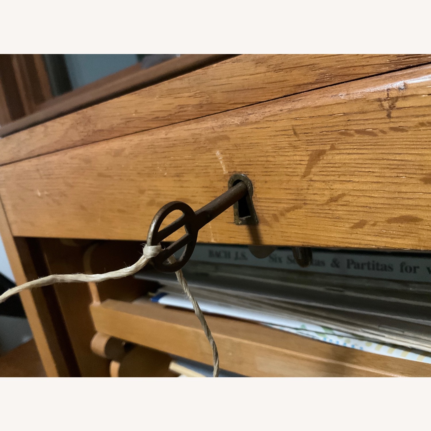 1920s Dutch Roller Door Cabinet - image-6