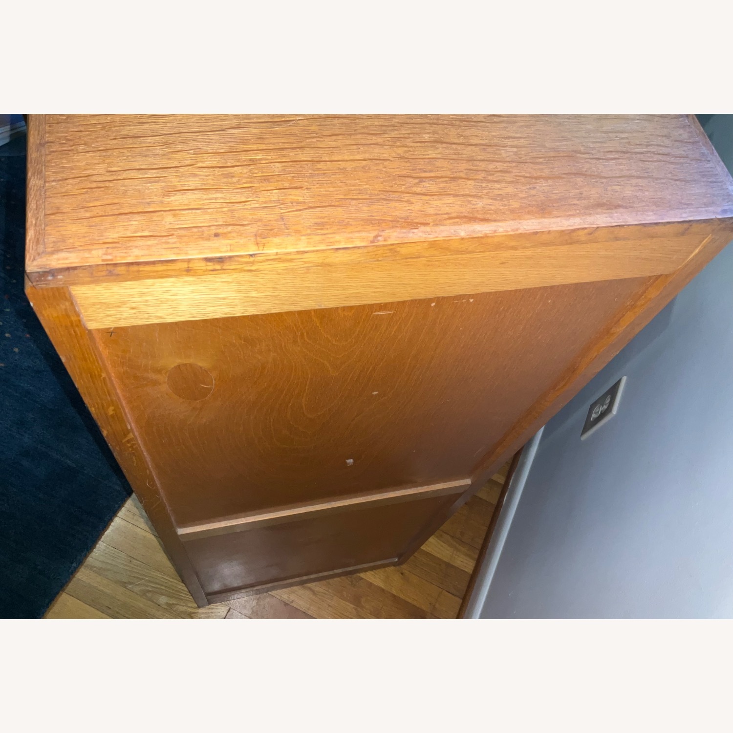 1920s Dutch Roller Door Cabinet - image-9