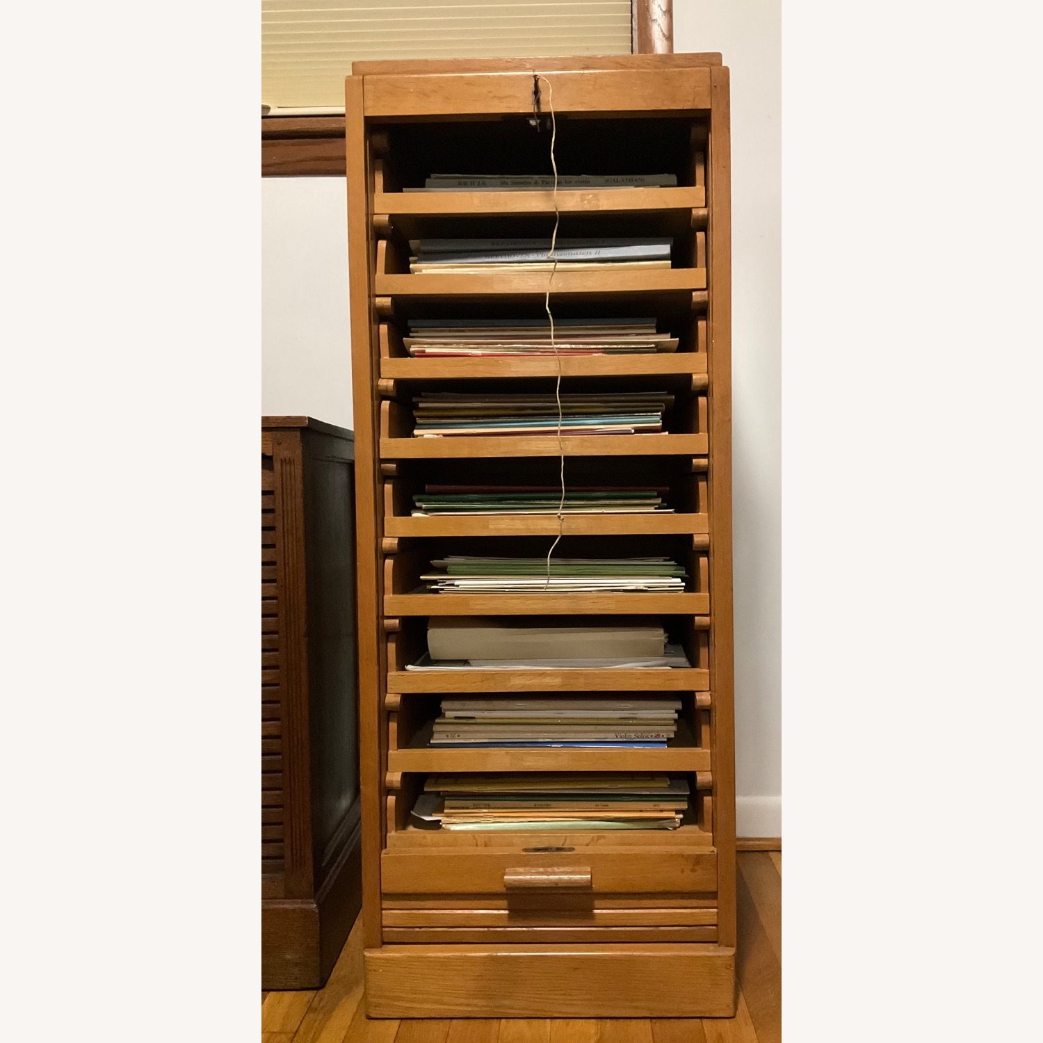 1920s Dutch Roller Door Cabinet - image-4