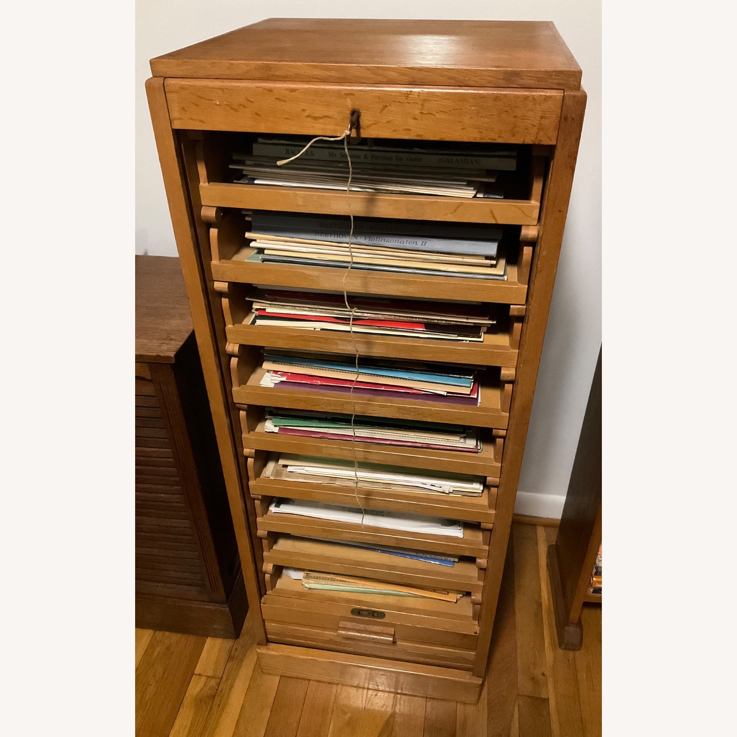 1920s Dutch Roller Door Cabinet - image-1