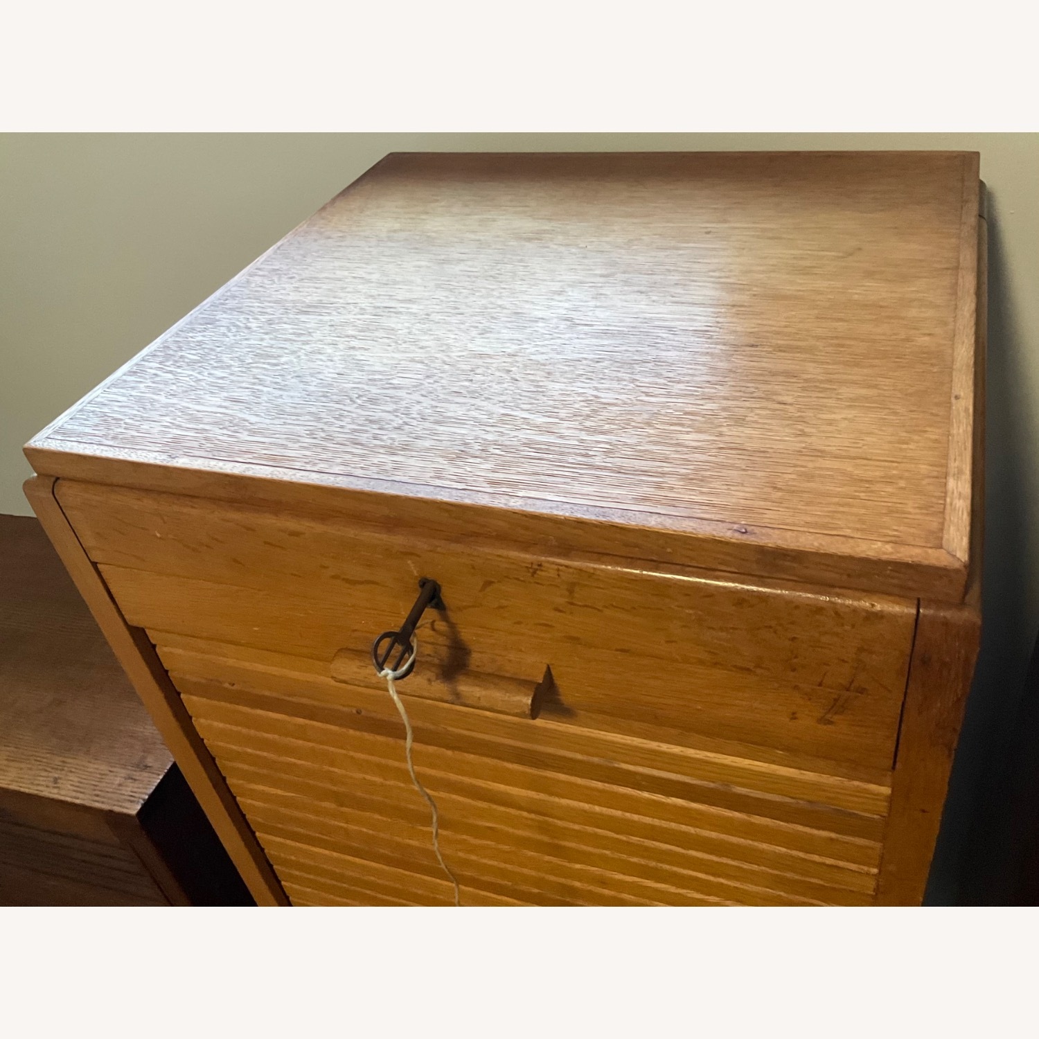 1920s Dutch Roller Door Cabinet - image-10