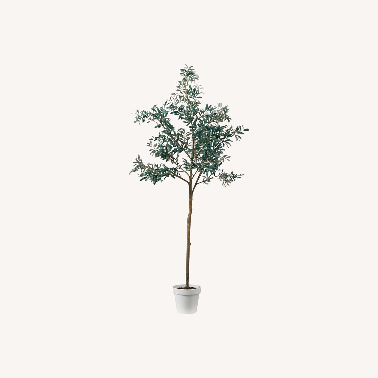 West Elm Faux Potted Olive Tree - image-0