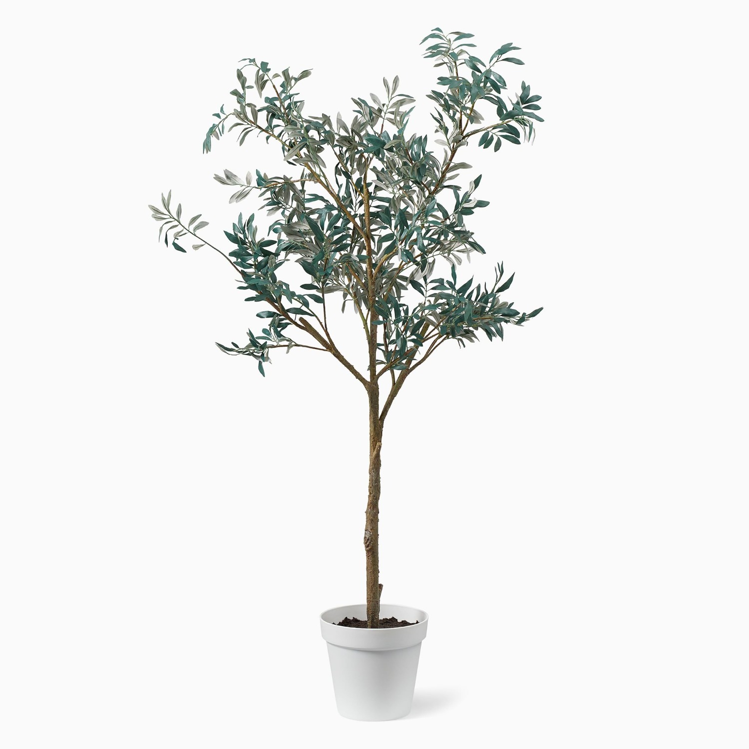 West Elm Faux Potted Olive Tree - image-3