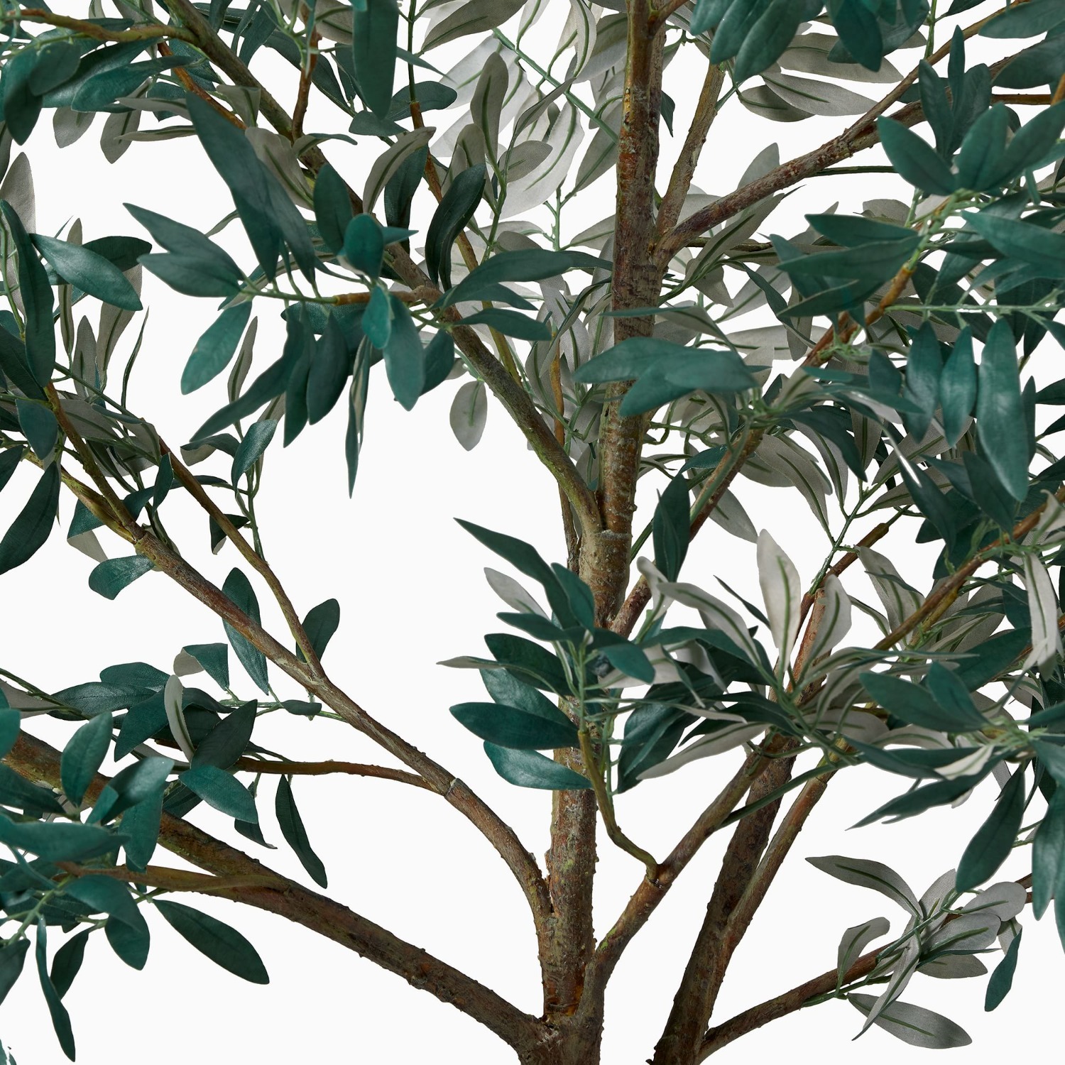 West Elm Faux Potted Olive Tree - image-1
