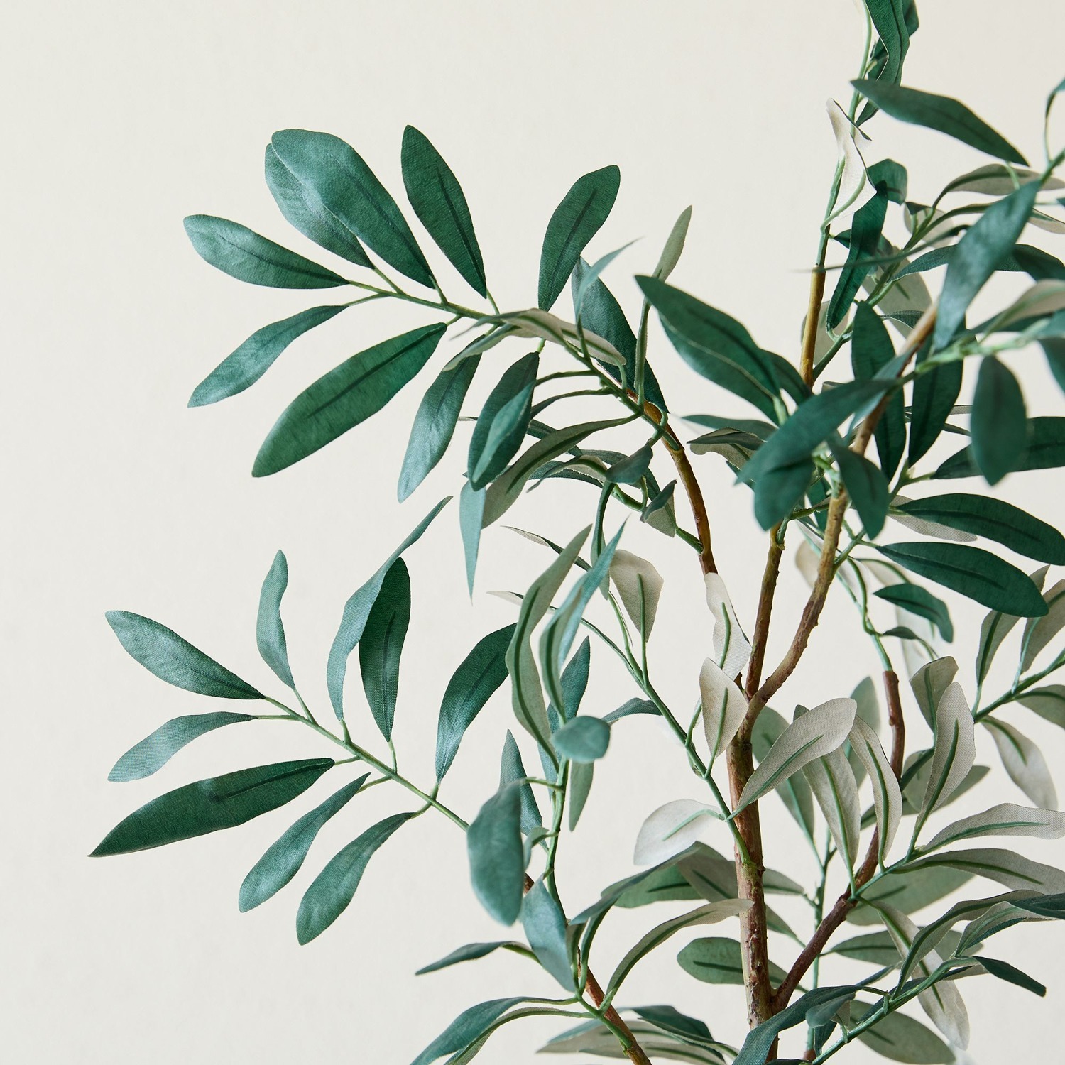 West Elm Faux Potted Olive Tree - image-2