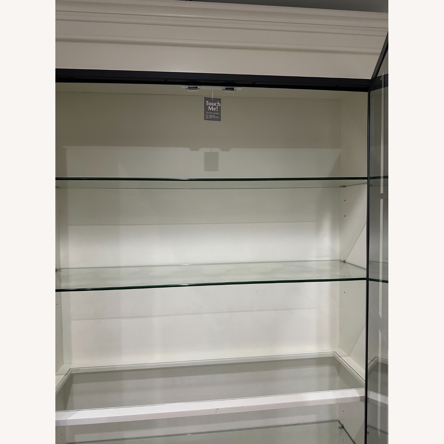 Ballard Delano Glass Door Cabinet - image-6