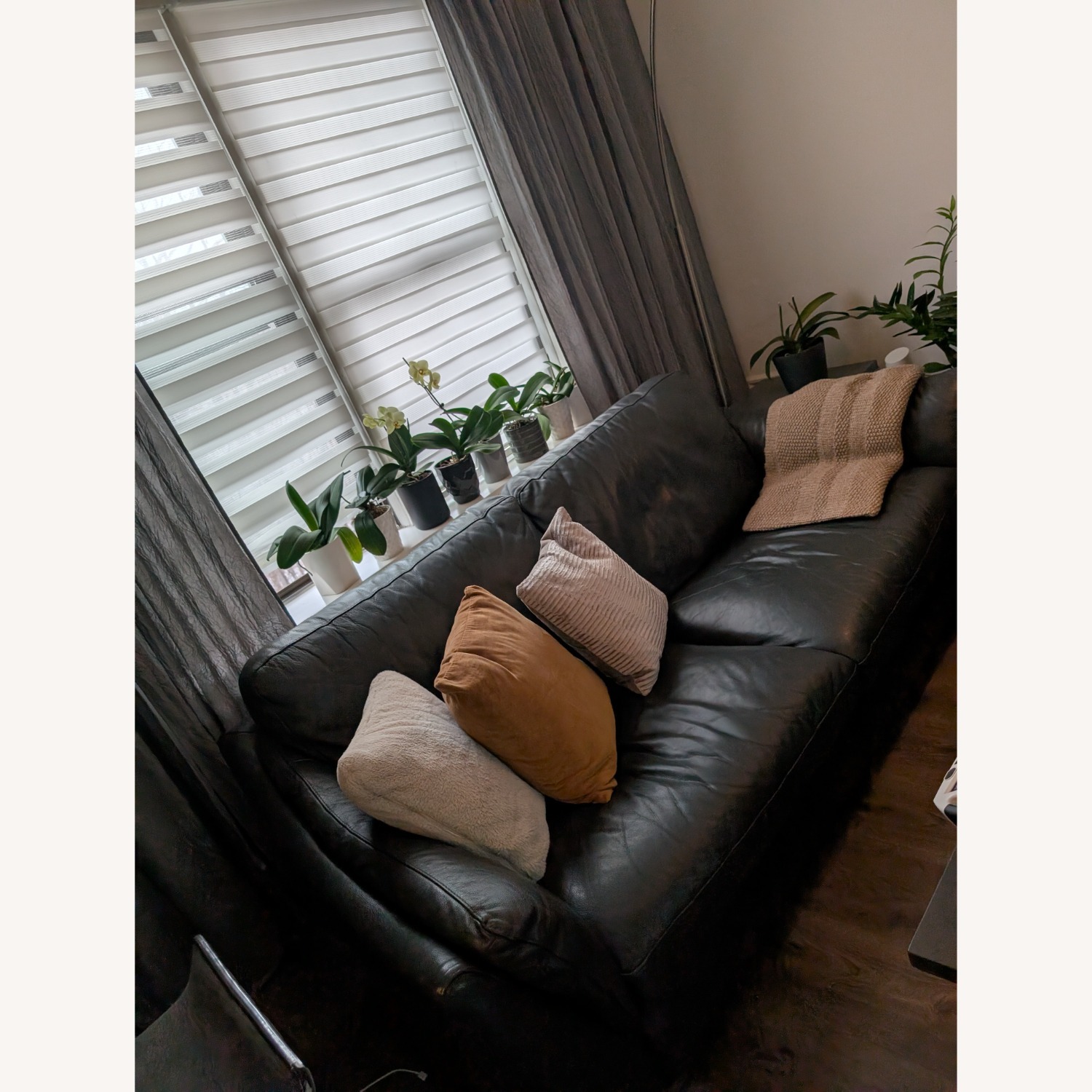 ItalModern 2seater Sofa - image-3