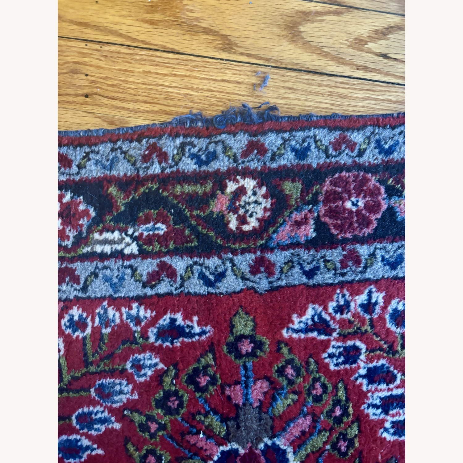 Antique Oriental Rug (Runner / Large) 3X25 - AptDeco