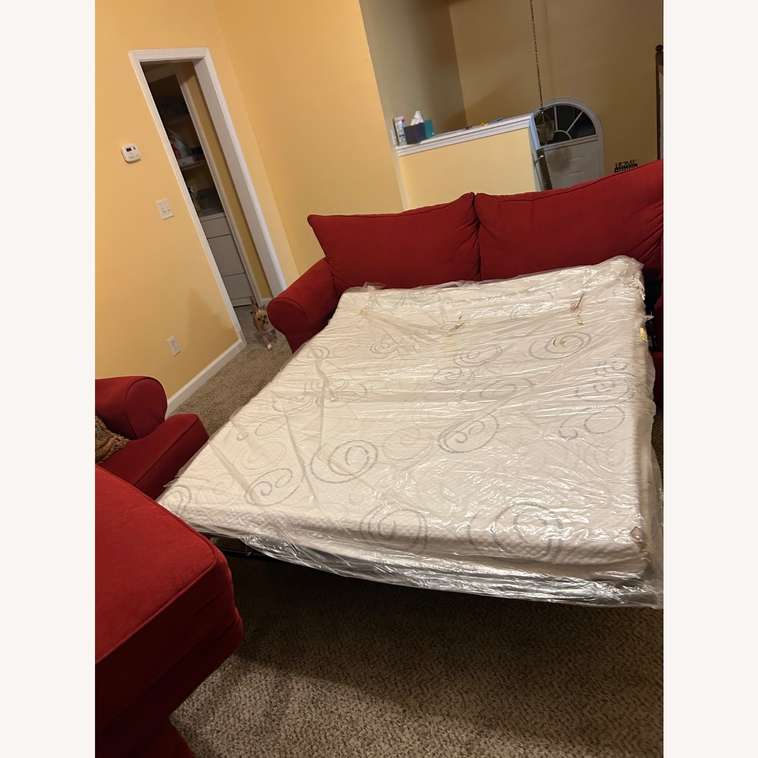 Burgundy 3-Piece Pull Out Couch  - image-4