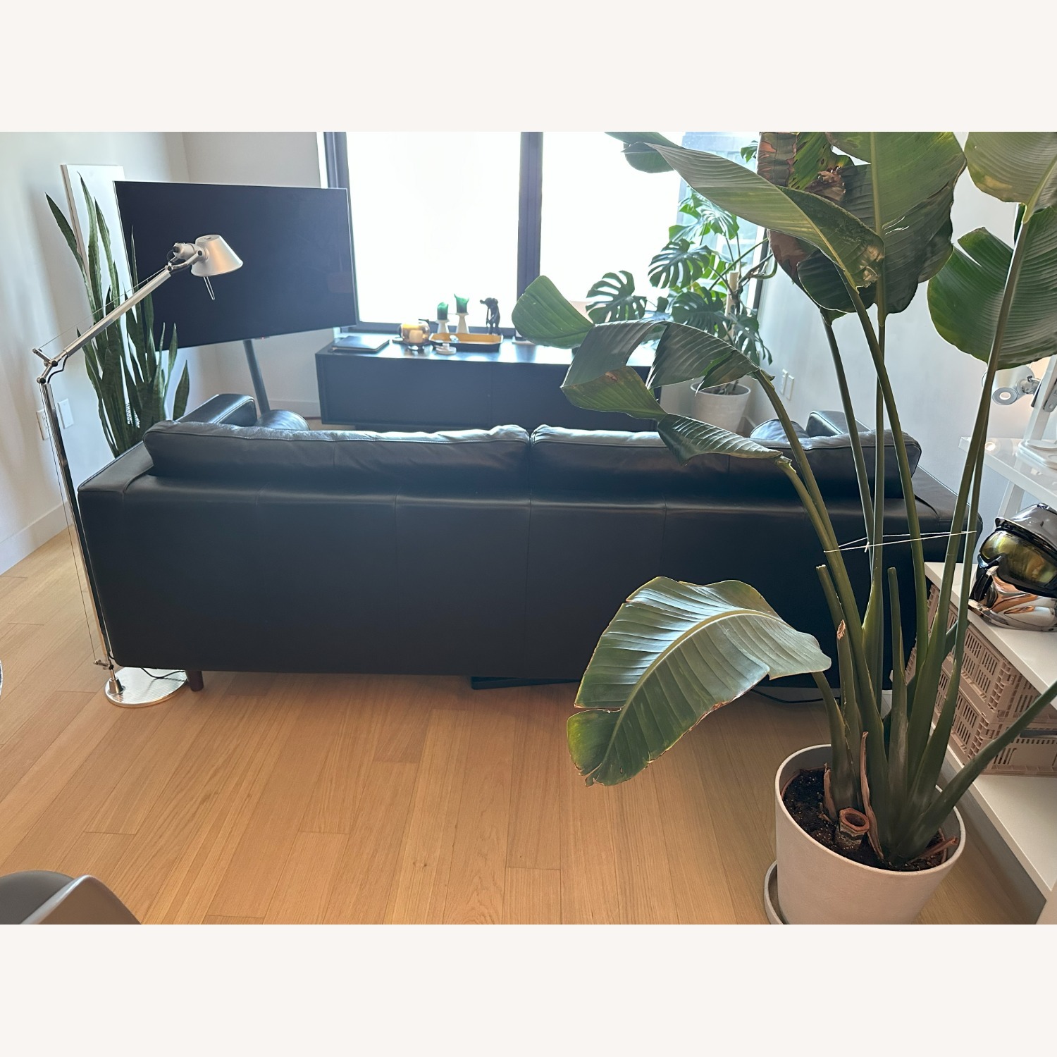 Article Sven 3-Seater Black Leather Sofa - image-2