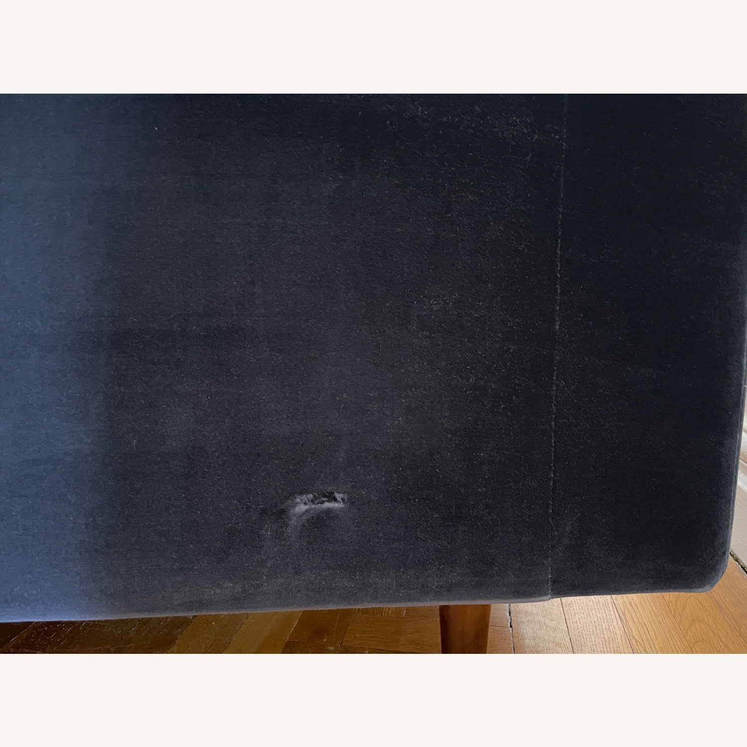 Article Sven Blue Velvet 72 Sofa - image-5