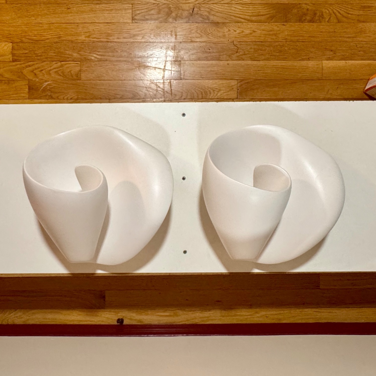 Hannah Woodhouse Tulip Wall-Mounted Sculpture - image-0